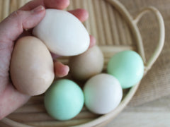 Farm Fresh Egg Soap Set