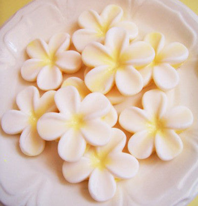 Beautiful Frangipani Flower Soap Set