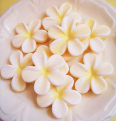 Beautiful Frangipani Flower Soap Set