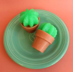 Lime Cactus Soap