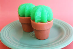 Lime Cactus Soap