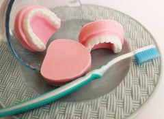 Peppermint Denture Soap Set