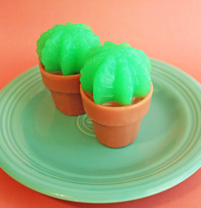 Lime Cactus Soap