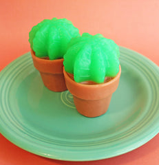 Lime Cactus Soap