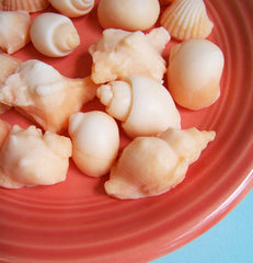 Orange Sea Shell Soap Set