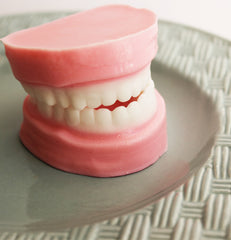 Peppermint Denture Soap Set