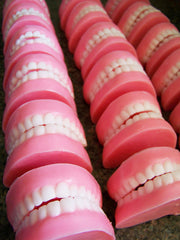 Peppermint Denture Soap Set