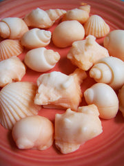 Orange Sea Shell Soap Set
