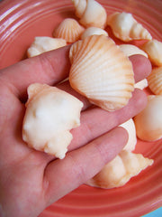 Orange Sea Shell Soap Set
