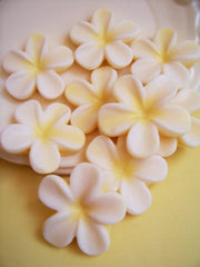 Beautiful Frangipani Flower Soap Set