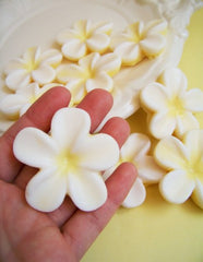 Beautiful Frangipani Flower Soap Set