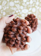 Cinnamon Pine Cone Soap