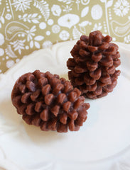 Cinnamon Pine Cone Soap