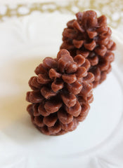 Cinnamon Pine Cone Soap