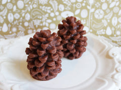 Cinnamon Pine Cone Soap