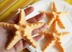 Starfish Soap Set