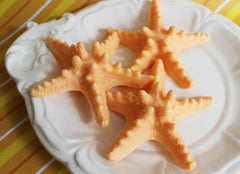 Starfish Soap Set