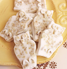 Oatmeal Owl Soap Set