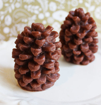 Cinnamon Pine Cone Soap