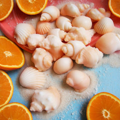 Orange Sea Shell Soap Set