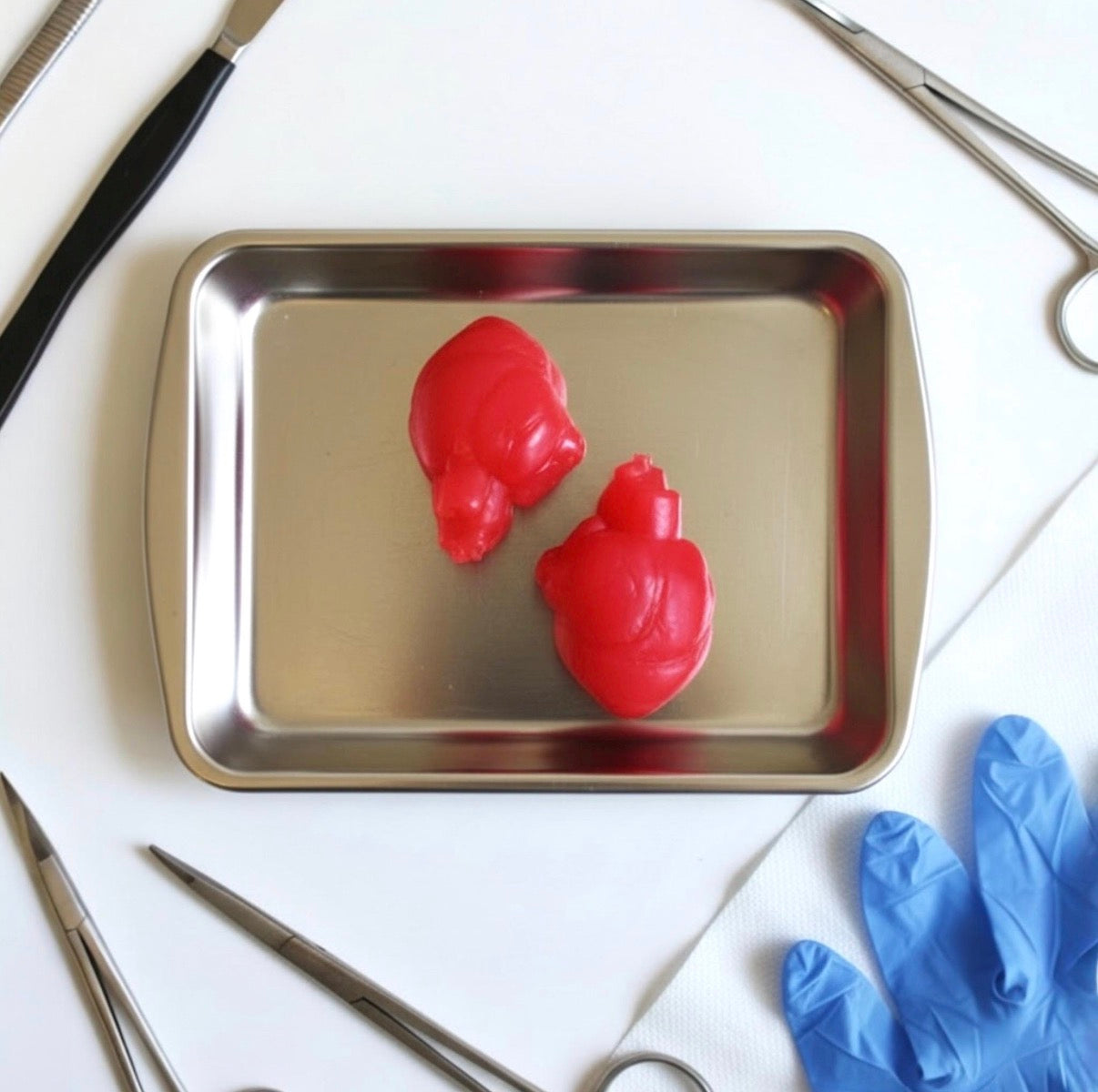 Human Heart Soap Set