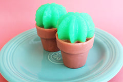 Lime Cactus Soap