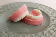 Peppermint Denture Soap Set