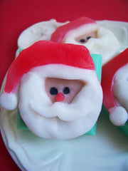 Candy Cane Santa Soap Bar