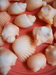 Orange Sea Shell Soap Set