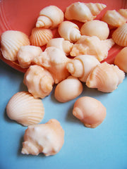 Orange Sea Shell Soap Set