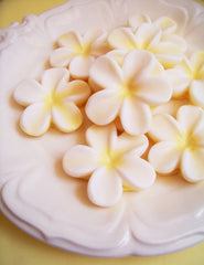Beautiful Frangipani Flower Soap Set