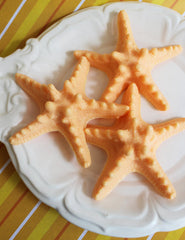Starfish Soap Set
