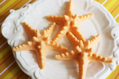 Starfish Soap Set